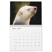 Schattige fretten 2025 kalender (Jan 2027)