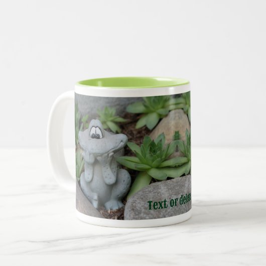 Schattige Frog Succulent Garden gepersonaliseerd Tweekleurige Koffiemok (Voorkant links)
