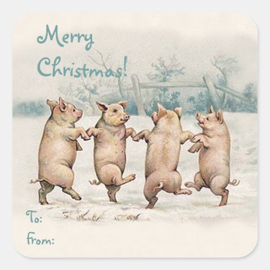 Schattige Funny Dancing Pigs "Merry Christmas" Pak Vierkante Sticker (Voorkant)