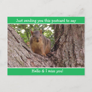 Schattige Funny Squirrel Just gezegde Hallo Briefkaart