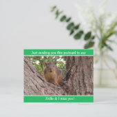 Schattige Funny Squirrel Just gezegde Hallo Briefkaart (Staand voorkant)
