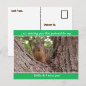 Schattige Funny Squirrel Just gezegde Hallo Briefkaart (Voorkant / Achterkant)