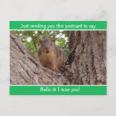 Schattige Funny Squirrel Just gezegde Hallo Briefkaart (Voorkant)