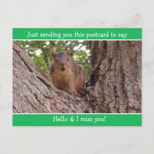 Schattige Funny Squirrel Just gezegde Hallo Briefkaart (Voorkant)