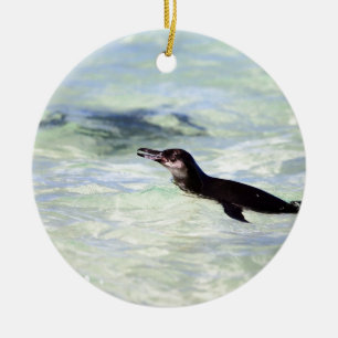 Schattige Galapagos pinguïn zwemt Keramisch Ornament