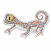 Schattige Gecko geïllustreerd Sticker (Voorkant)