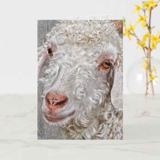 schattige geit verjaardag kaart (Gele Bloem)