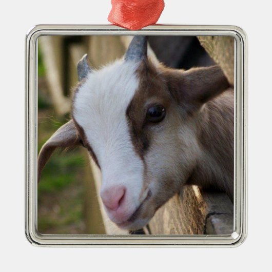 *SCHATTIGE GEITEN VOOR CHRISTMAS* METALEN ORNAMENT (Voorkant)