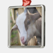 *SCHATTIGE GEITEN VOOR CHRISTMAS* METALEN ORNAMENT (Links)