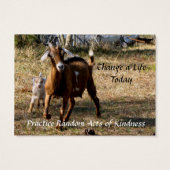 Schattige geiten Willekeurige handelingen van Kaar Visitekaartje (Achterkant)