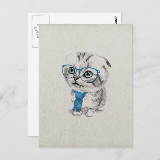 Schattige gekke, vreemde, blauwe ogen kitten briefkaart (Voorkant / Achterkant)