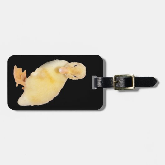 Schattige gele boeddfoto voor bedekte reizen bagagelabel (Voorkant horizontaal)