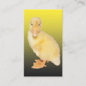 Schattige gele borrelfoto visitekaartje (Voorkant)