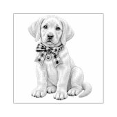 Schattige gele labrador met lint stempel (Afrduk)