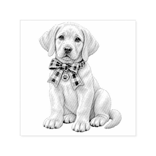 Schattige gele labrador met lint stempel (Design)