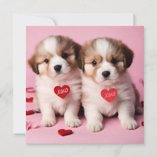 Schattige gelukkige Valentijnsdag Puppies Feestdagenkaart (Voorkant)