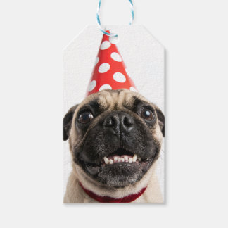 Schattige Gelukkige Verjaardag Mops in Rode Feesth Cadeaulabel