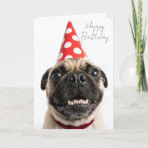 Schattige Gelukkige Verjaardag Mops in Rode Feesth