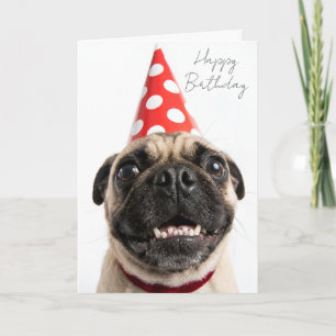 Schattige Gelukkige Verjaardag Mops in Rode Feesth Kaart