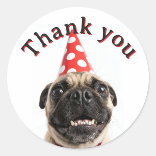 Schattige Gelukkige Verjaardag Mops in Rode Feesth Ronde Sticker