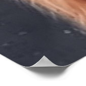 Schattige gember alpaca dragen beanie poster (Hoek)