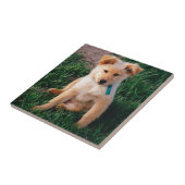 Schattige gemengde pauze tegeltje (Zijkant)