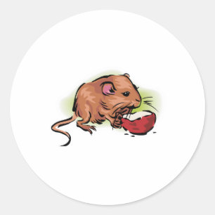 schattige gerbil die noot eet ronde sticker