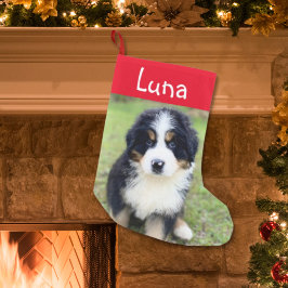 Schattige geschenk voor Berner Lovers Vrouw Berner Kleine Kerstsok