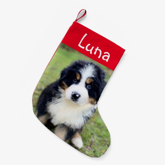 Schattige geschenk voor Berner Lovers Vrouw Berner Kleine Kerstsok (Voorkant (Hangend))