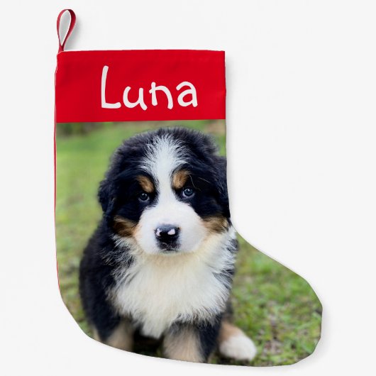 Schattige geschenk voor Berner Lovers Vrouw Berner Kleine Kerstsok (Voorkant)