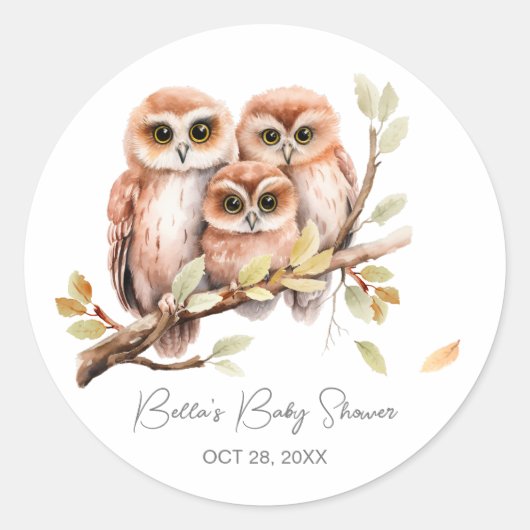 Schattige Geslachtsneutrale Uil Baby shower Ronde Sticker (Voorkant)