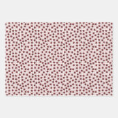 Schattige Gingham Handgetrokken Ladybug Pattern Ki Inpakpapier Vel (Voorkant 2)