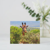 Schattige Giraffe die zijn hoofd boven de bomen ho Briefkaart (Staand voorkant)