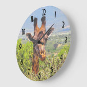 Schattige Giraffe die zijn hoofd boven de bomen ho Grote Klok (Hoek)