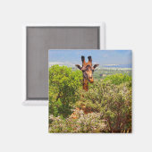 Schattige Giraffe die zijn hoofd boven de bomen ho Magneet (Voorkant / Achterkant)