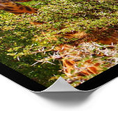 Schattige Giraffe die zijn hoofd boven de bomen ho Poster (Hoek)