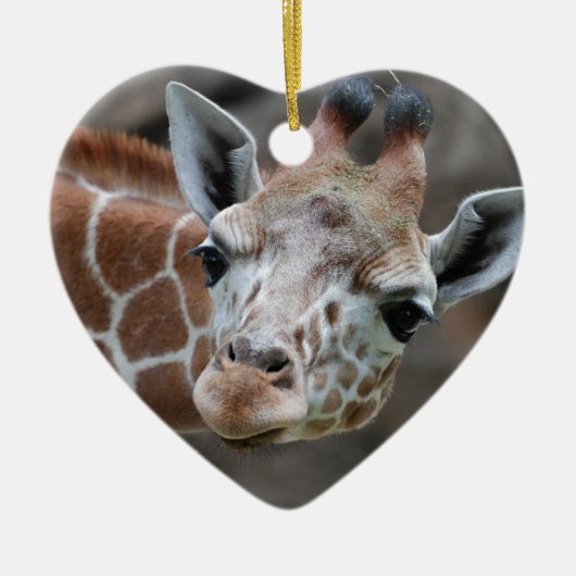 Schattige Giraffe Ornament (Voorkant)