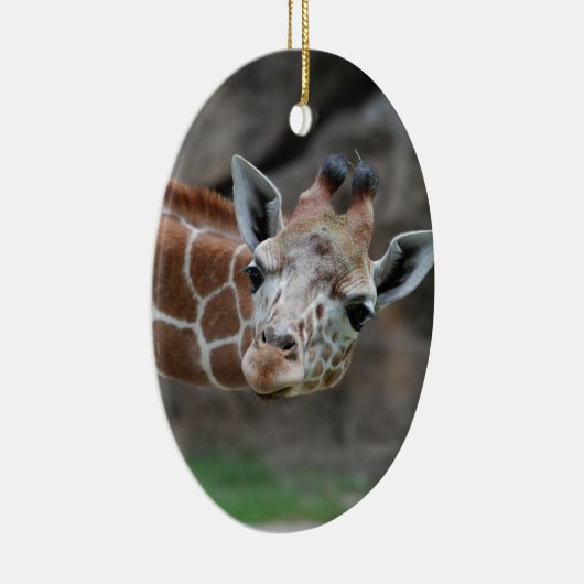Schattige Giraffe Ornament (Rechts)