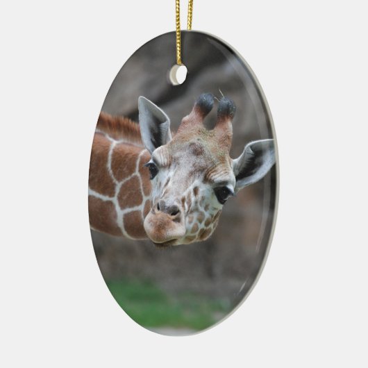 Schattige Giraffe Ornament (Links)