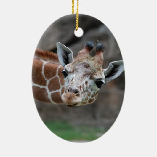 Schattige Giraffe Ornament (Achterkant)