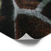 Schattige Giraffe Poster (Hoek)
