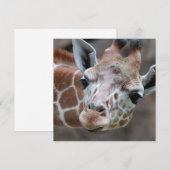 Schattige Giraffe Uitnodigingen (Voorkant / Achterkant)