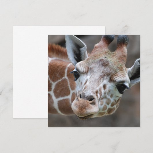 Schattige Giraffe Uitnodigingen (Voorkant / Achterkant)