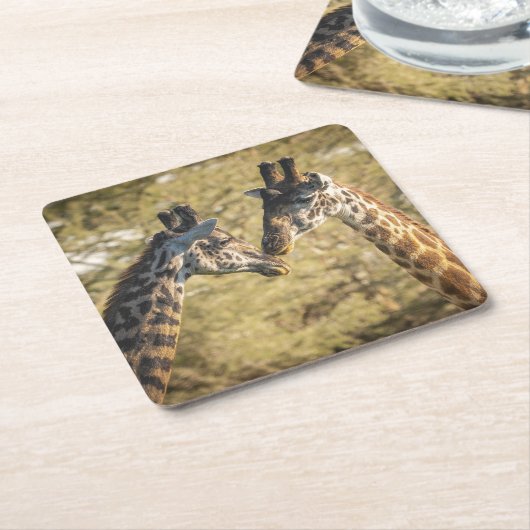 Schattige Giraffes Onderzetter (Schuin)