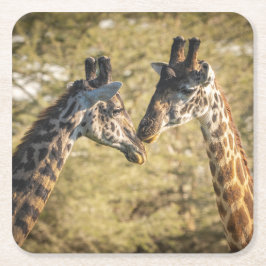 Schattige Giraffes Onderzetter