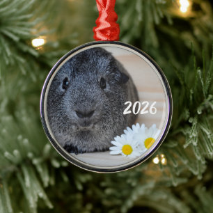Schattige gladde zilveren agouti cavia en madelief metalen ornament