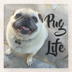 Schattige glimlach Pug Dog Life Glazen Onderzetter