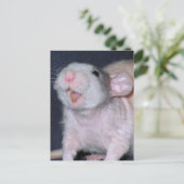 Schattige Glimlach Rat Briefkaart (Staand voorkant)