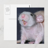 Schattige Glimlach Rat Briefkaart (Voorkant / Achterkant)