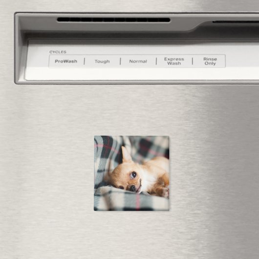 Schattige glimlachende Chihuahua op deken Magneet (Insitu (Vaatwasser))